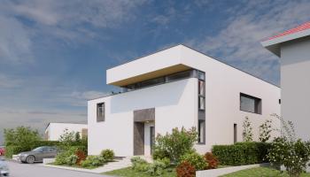 color-inside-paradisul-verde-house-1